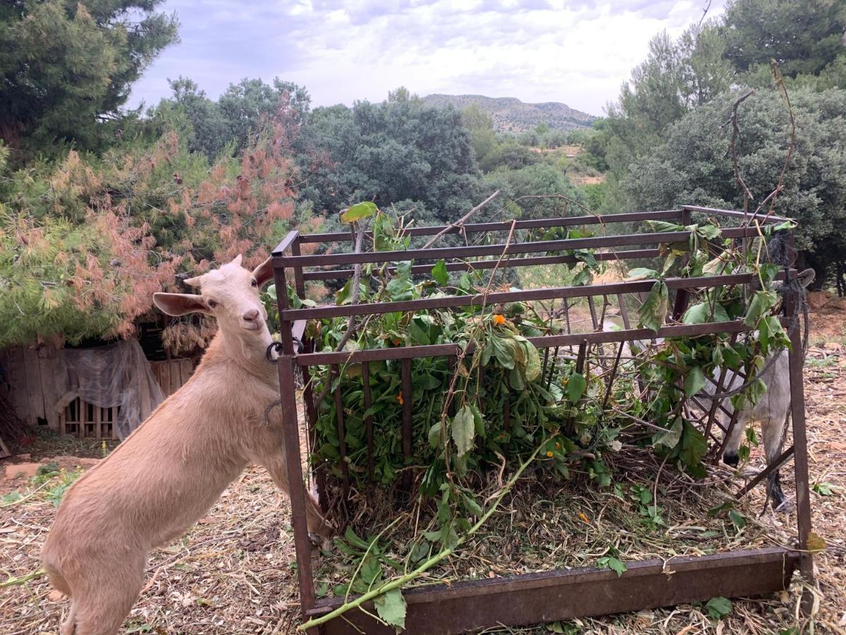 Cabanas Cortijo El Helao Pozo Alcón エクステリア 写真
