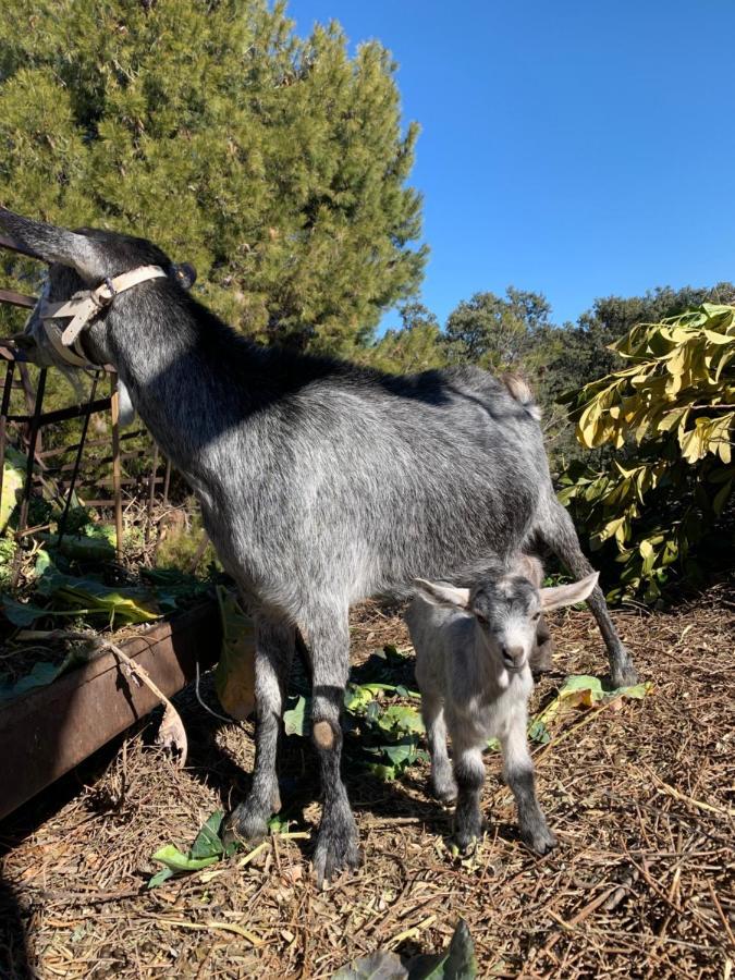 Cabanas Cortijo El Helao Pozo Alcón エクステリア 写真